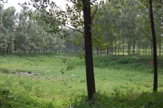 DSC_0079 DSC_0079