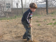 Jaxin plowing the field